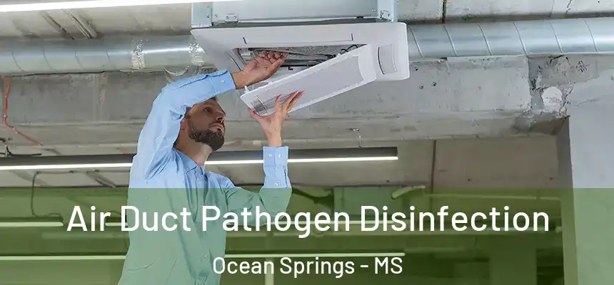  Air Duct Pathogen Disinfection Ocean Springs - MS