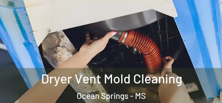  Dryer Vent Mold Cleaning Ocean Springs - MS