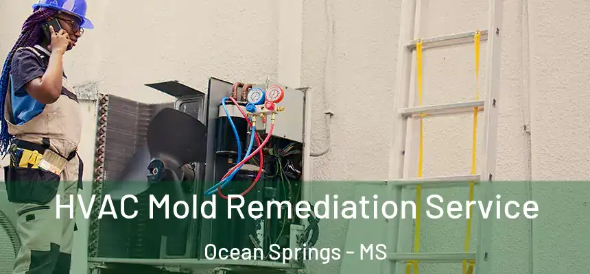  HVAC Mold Remediation Service Ocean Springs - MS