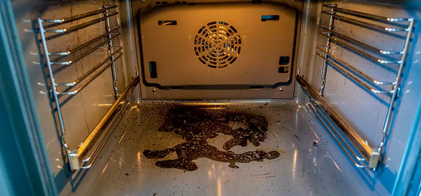 Our Dryer Vent Mold Cleaning Services in Ocean Springs, MS