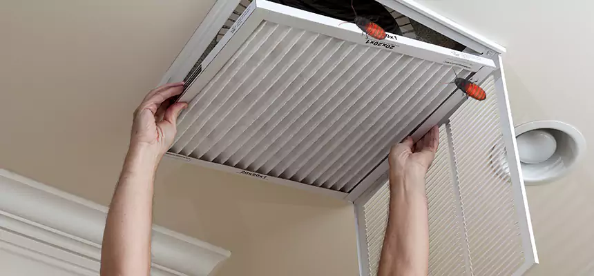 Our Insect Removal from Air Ducts Services in Ocean Springs, MS
