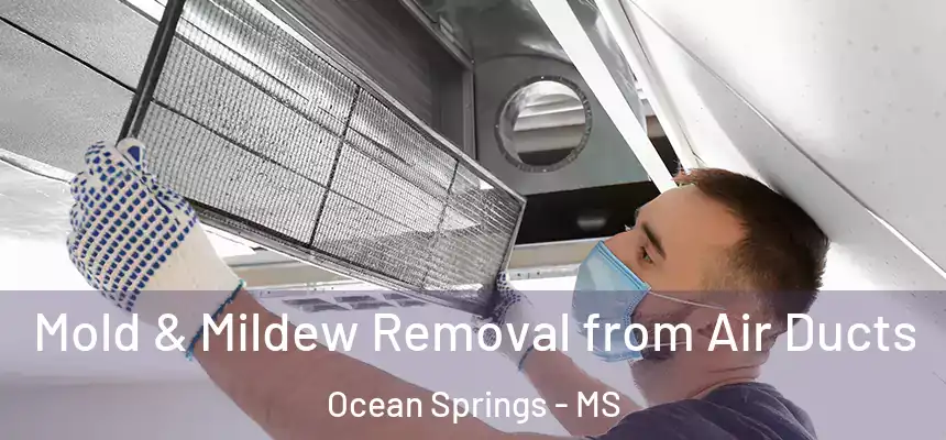  Mold & Mildew Removal from Air Ducts Ocean Springs - MS