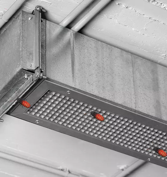 About Air Duct Cockroach Removal in Ocean Springs, MS
