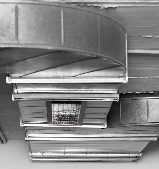 Professional Air Duct Pest Removal in Ocean Springs, MS