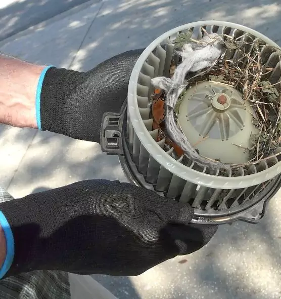 About Air Duct Rat Removal in Ocean Springs, MS