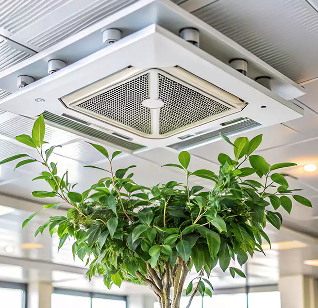 Why Homeowners & Businesses Trust Us in Ocean Springs, MS?