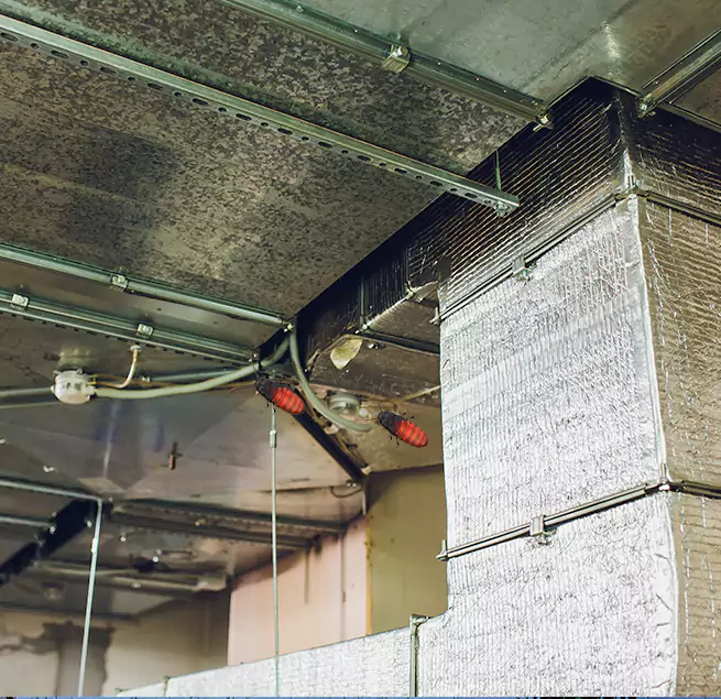 Why Homeowners & Businesses Trust Us Ocean Springs, MS?