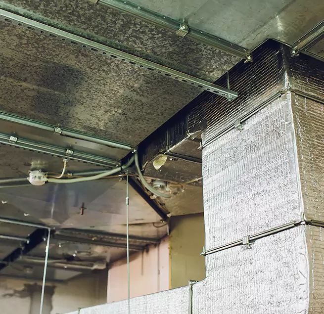 Why Homeowners & Businesses Trust Us in Ocean Springs, MS?